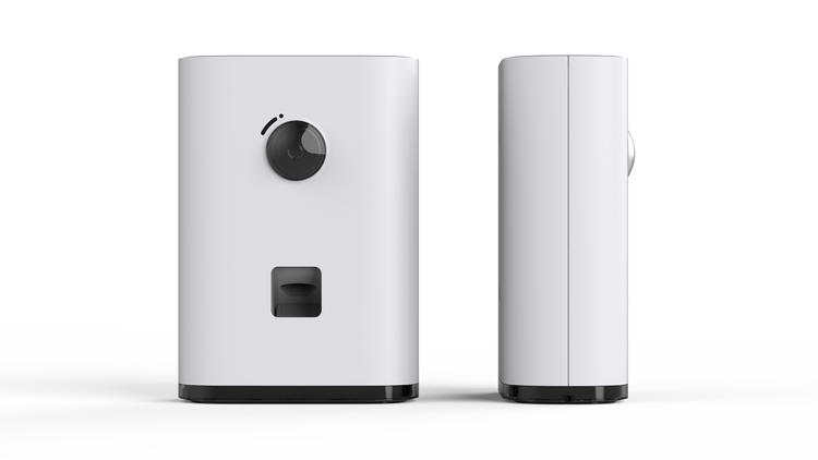 Videocamera con incentivo Pawbby