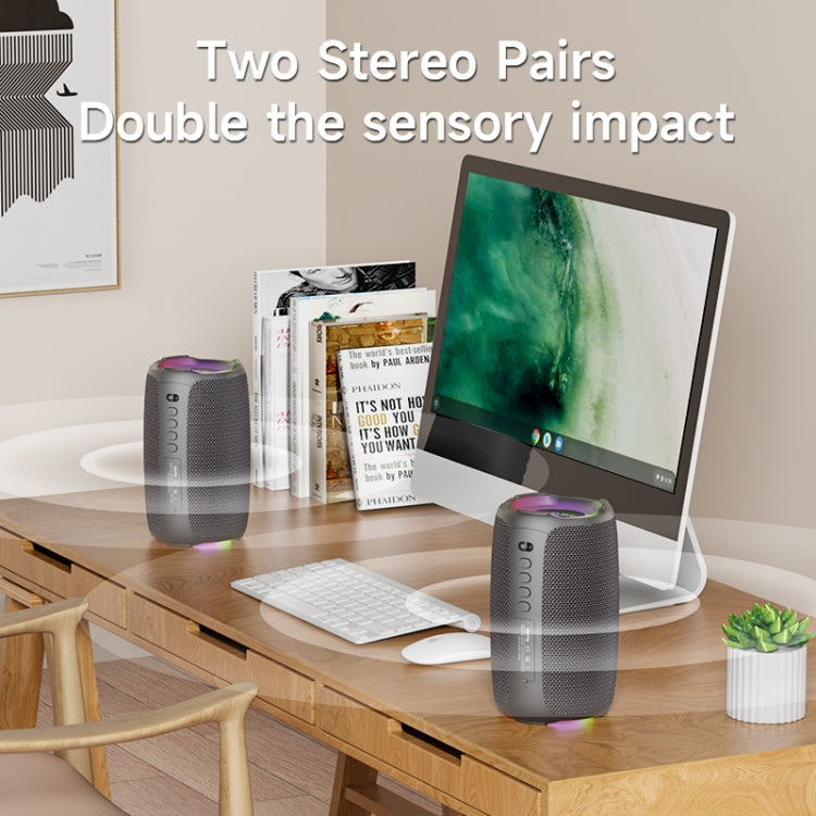 Altoparlante wireless per karaoke con luce ritmica RGB Zealot S61M, Single Mic, Dual Mic