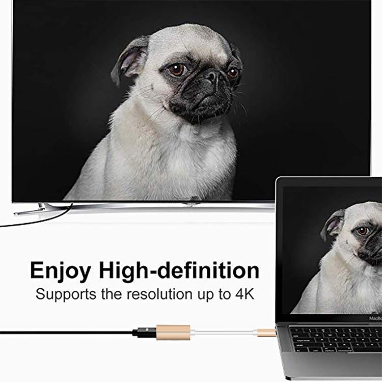 Convertitore HD USB-C / Type-C 3.1 maschio a Mini DP femmina, lunghezza: 12 cm, Silver, Gold