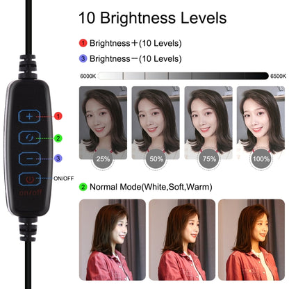 Supporto da tavolo con base rotonda PULUZ + luce video vlogging ad anello LED dimmerabile da 4,7 pollici 12 cm 3 modalità, altezza regolabile: 15,5 cm-25,5 cm, Desktop Mount+4.7 inch