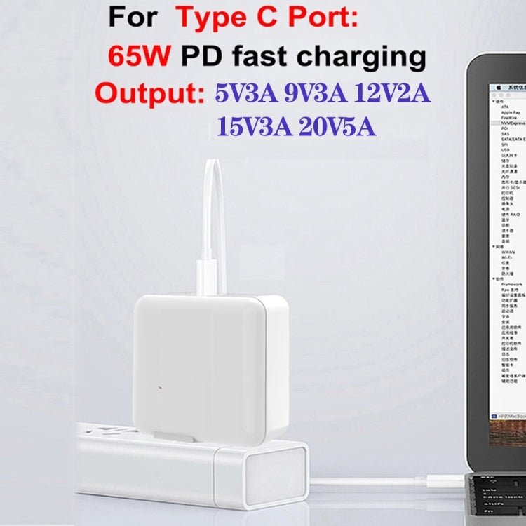 GaN 100 W Dual USB + Dual USB-C/Type-C Caricatore multiporta con cavo dati da 2 m da Type-C a Type-C, US Plug, US / EU Plug, US / UK Plug, US / AU Plug, US / EU / UK Plug, US / EU / UK / AU Plug