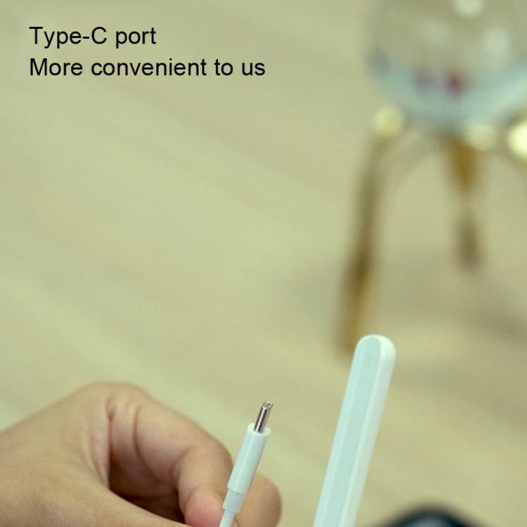 Cavo di ricarica magnetico per penna capacitiva RX-01, For Apple Pencil 2