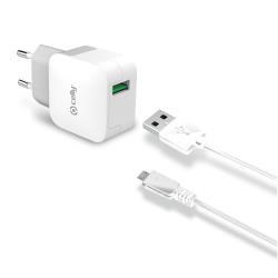 WALL CHARGER + MICROUSB CABLE