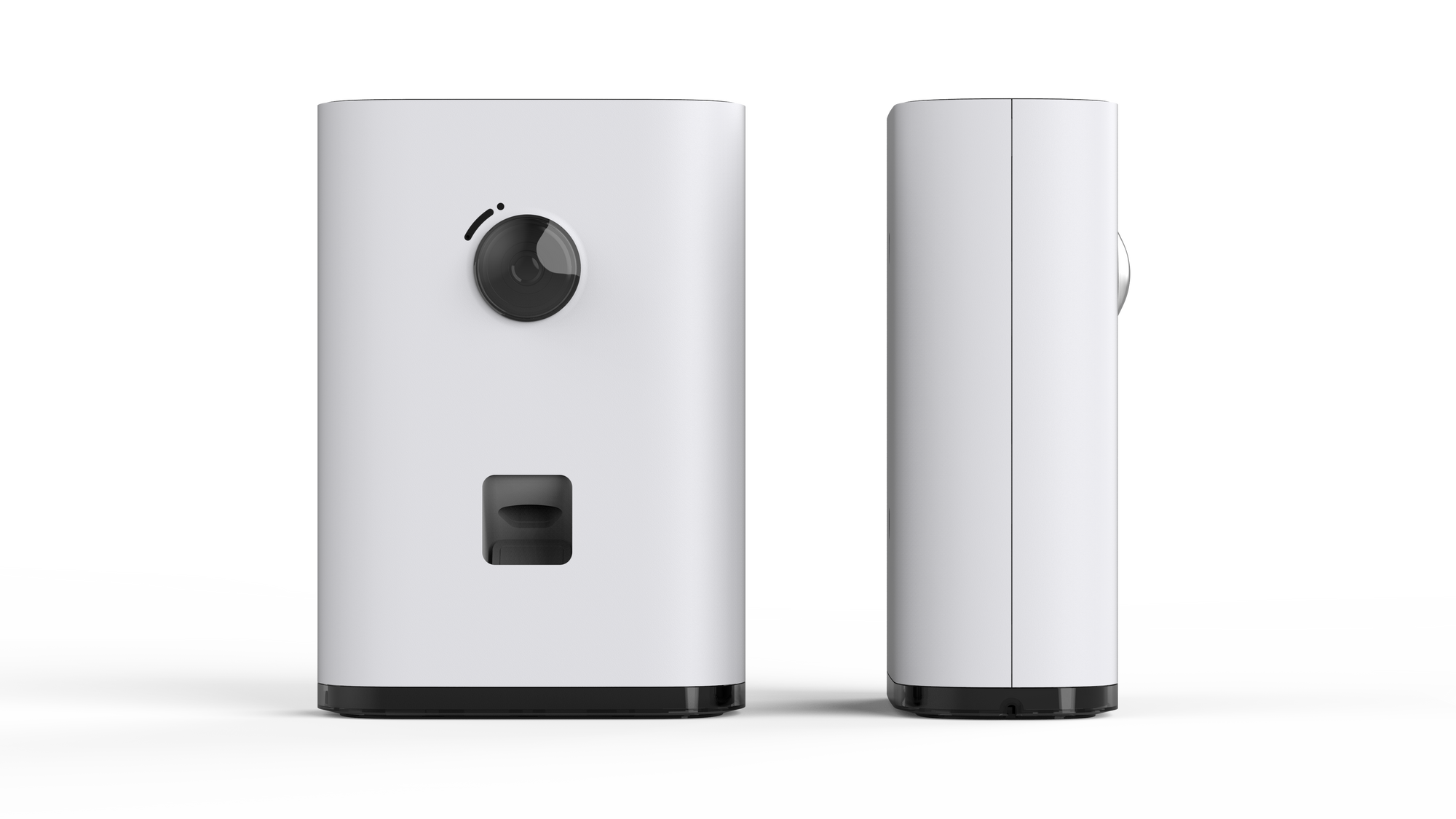 Videocamera con incentivo Pawbby