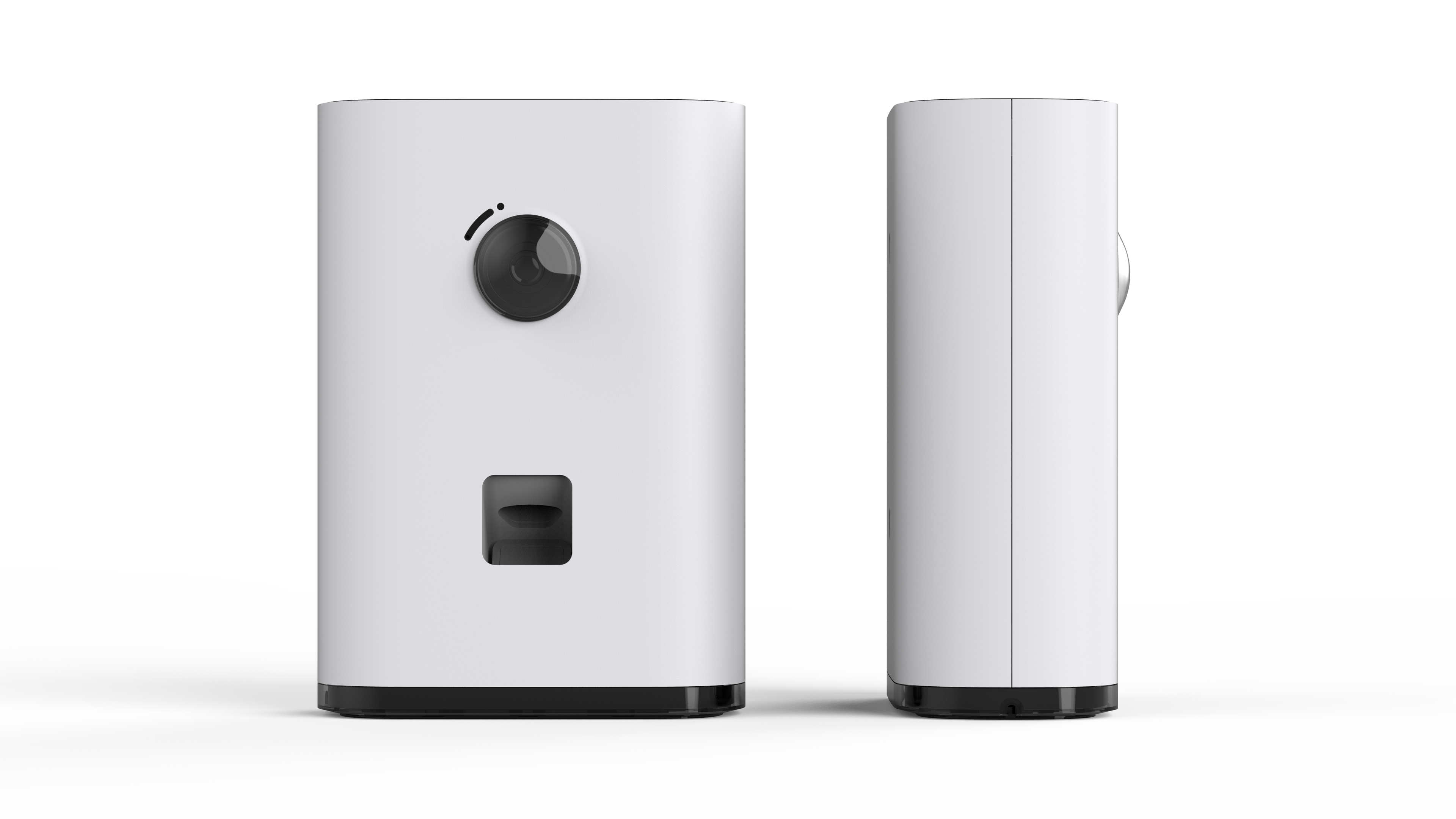Videocamera con incentivo Pawbby